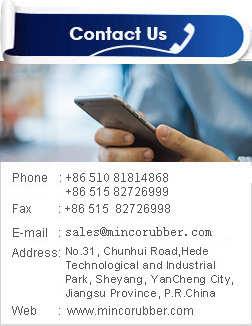 Jiangsu Minco Precision Rubber & Plastic Technology Co., Ltd., chemical industry, development of chemical industry